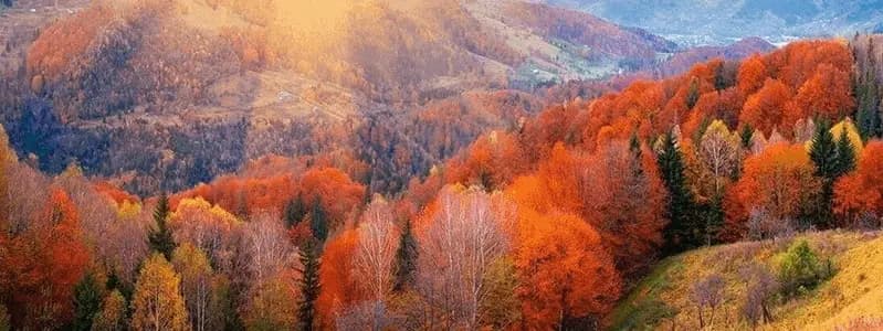 Отдых в Карпатах Осенью