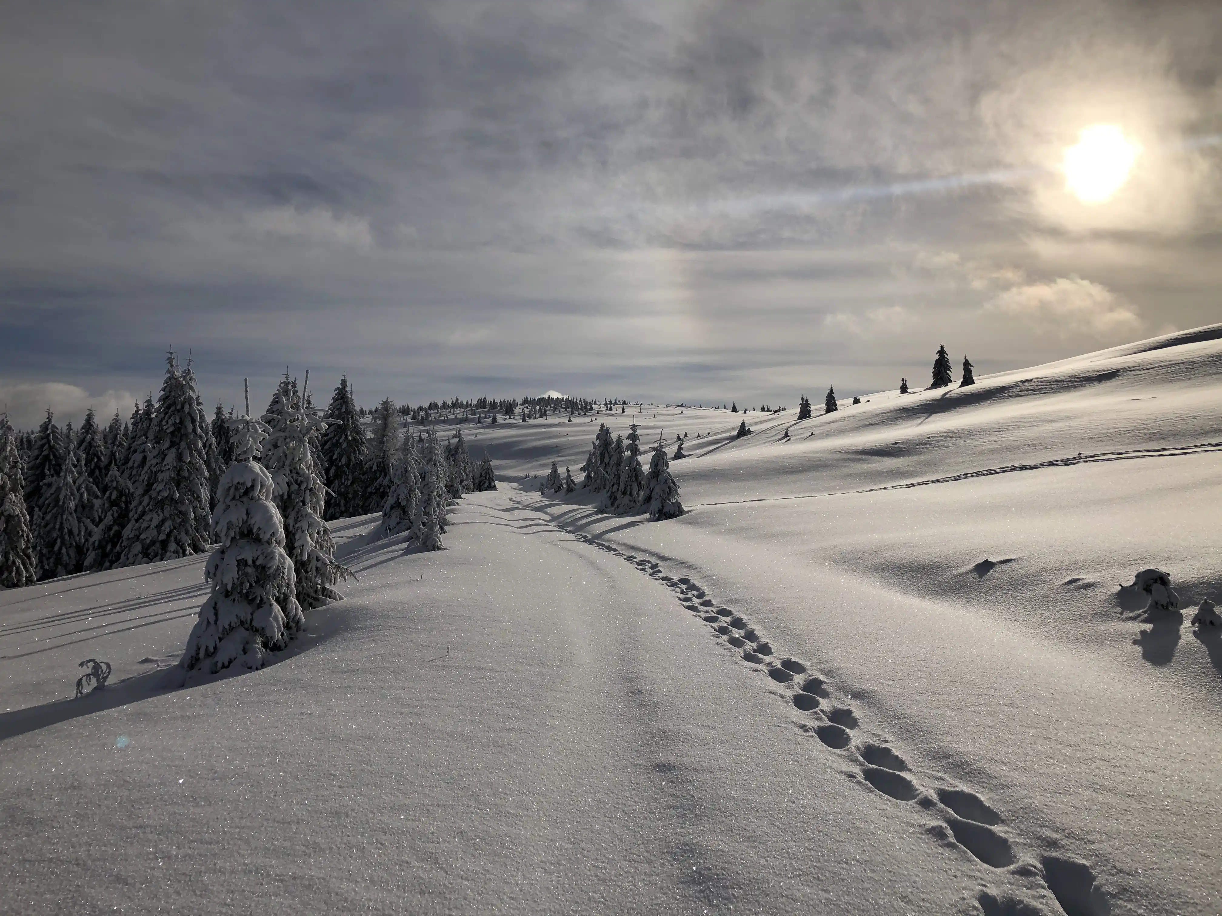 Рождественско-новогодние праздники в Закарпатье